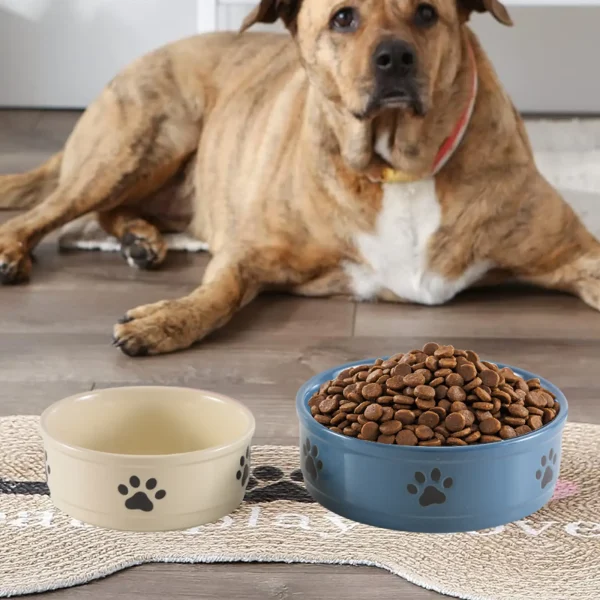 bulk ceramic dog bowls (1)