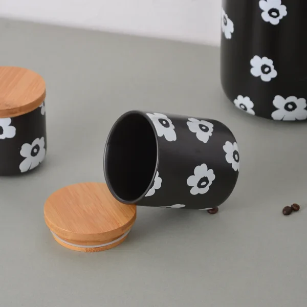 bulk ceramic kitchen jars (5)