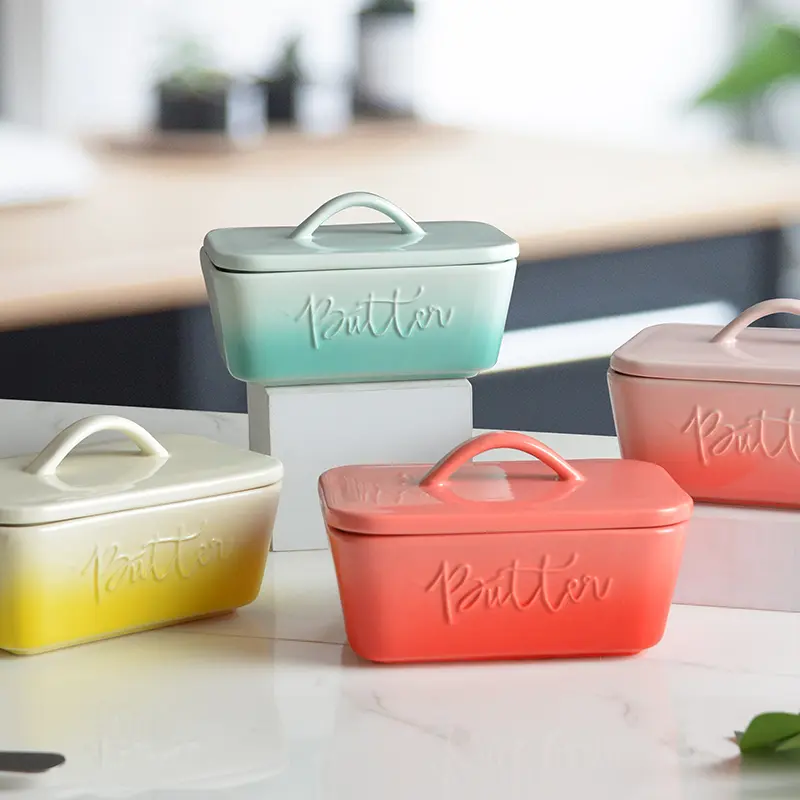 modern ombre ceramic butter dish set (1)