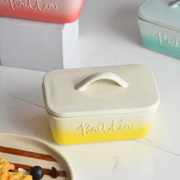 modern ombre ceramic butter dish set (5)