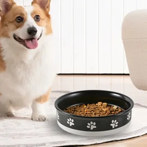 wholesale ceramic dog bowls (1)