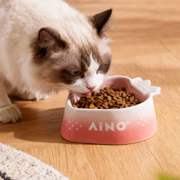 Wholesale Ceramic Pet Bowls, Raised Tilted Pet Food Bowl Neck Protection, Anti-Slip Feeding Dish for Kitten and Puppy